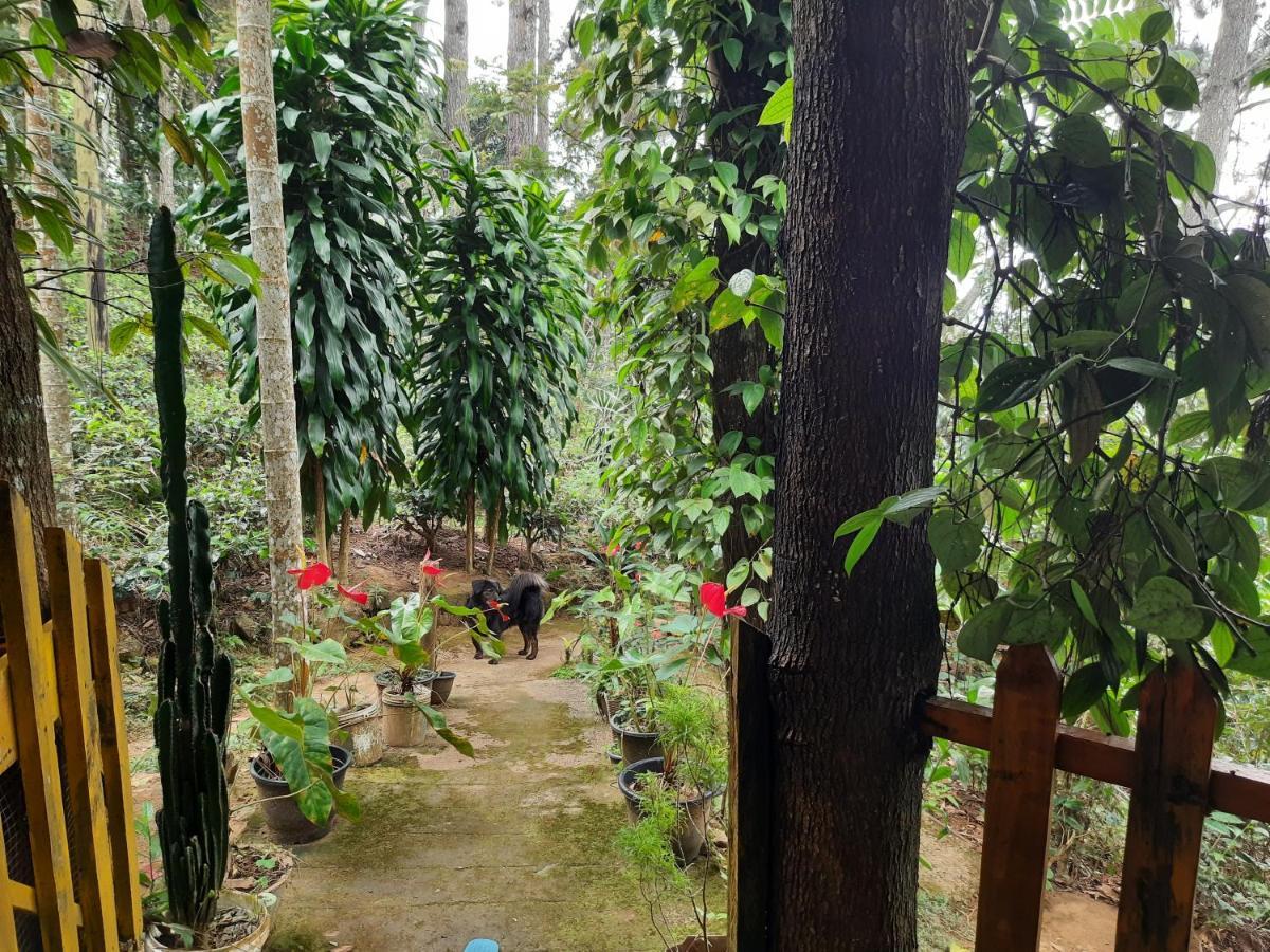 Green Heaven Lodge エッラ エクステリア 写真