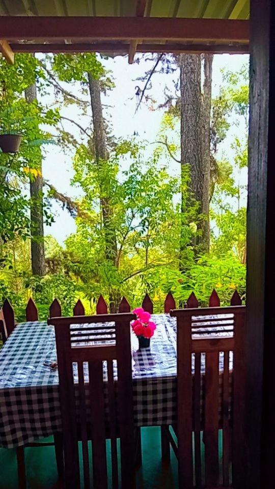 Green Heaven Lodge エッラ エクステリア 写真