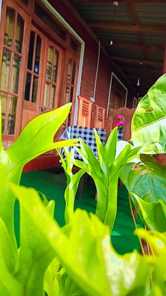 Green Heaven Lodge エッラ エクステリア 写真