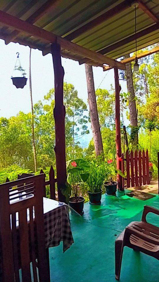 Green Heaven Lodge エッラ エクステリア 写真