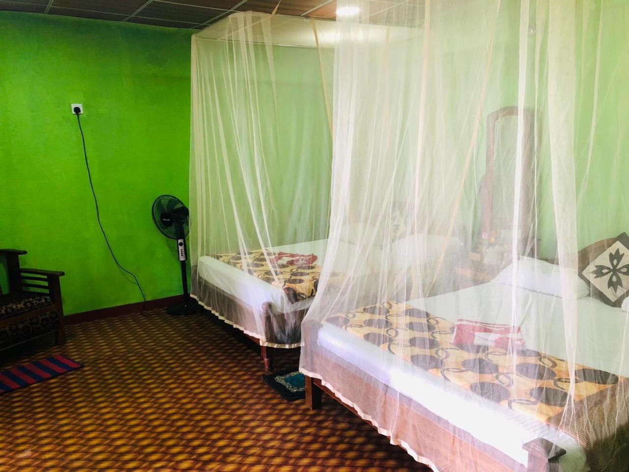 Green Heaven Lodge エッラ エクステリア 写真